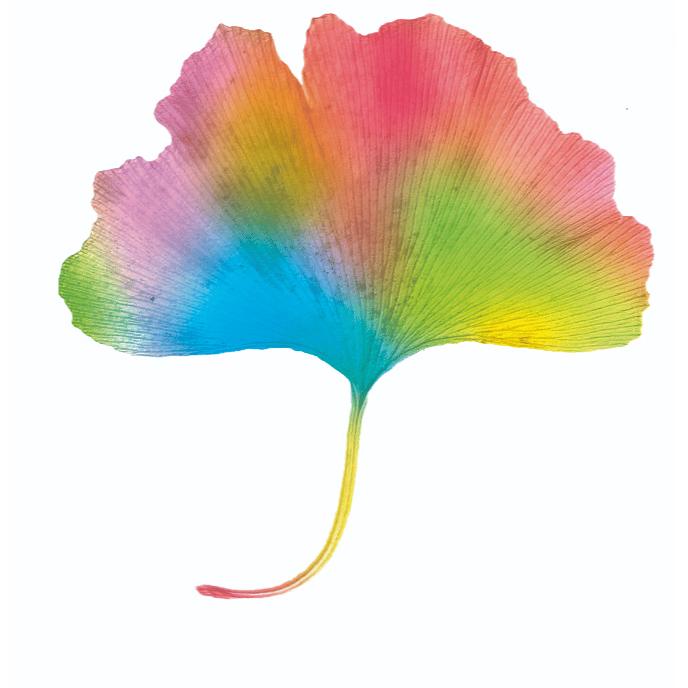 Naturheilpraxis Klußmann