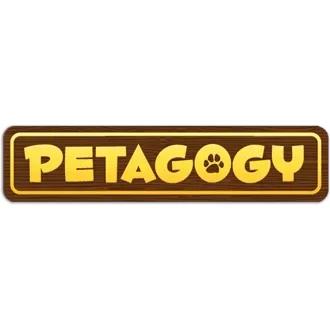 Petagogy