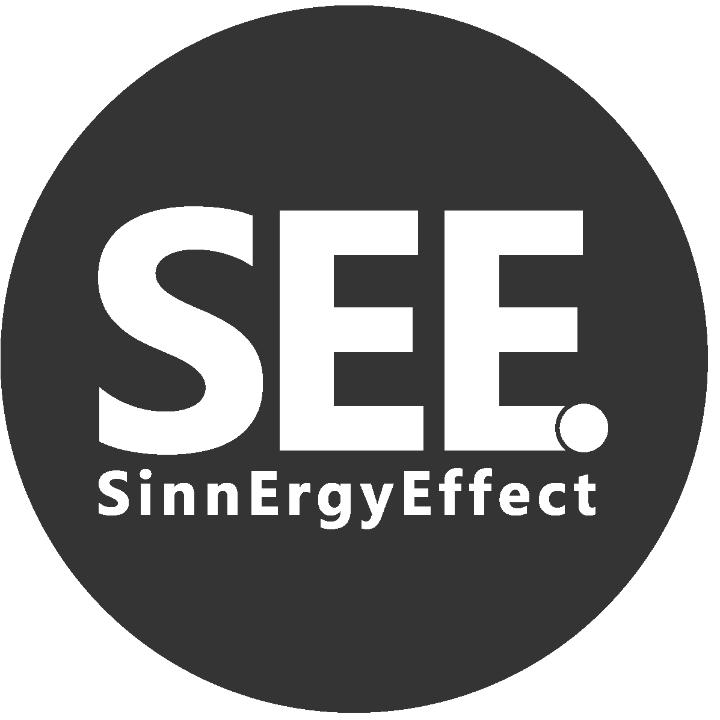 SinnErgyEffect