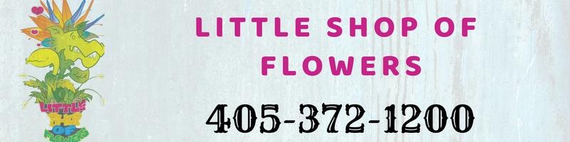 The Little Shop Of Flowers