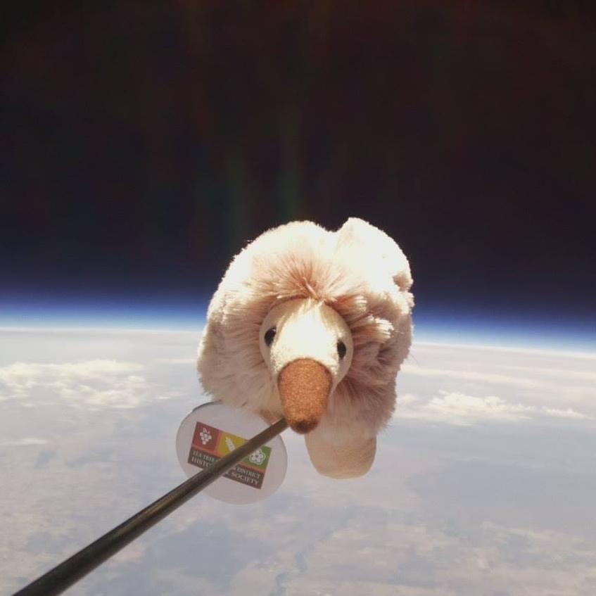 Tea Tree Gully Library