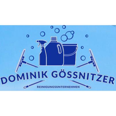 Reinigungsunternehmen - Dominik Gössnitzer