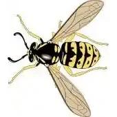 All Hours Pest Control