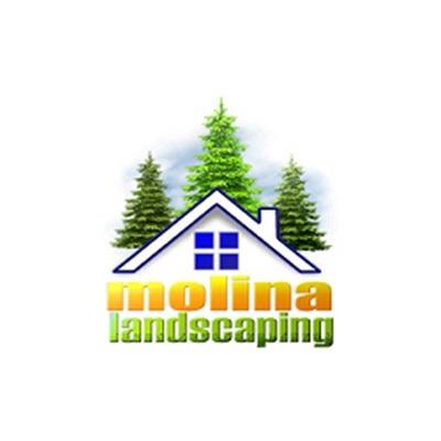 Angel Molina Landscaping