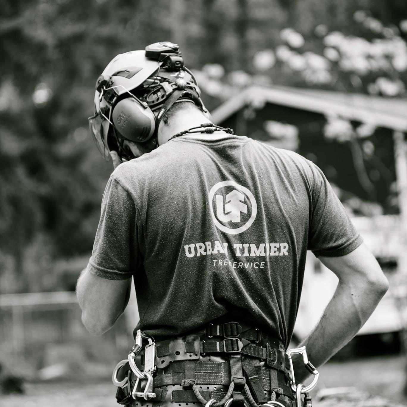 Portland Tree Service by Urban Timber