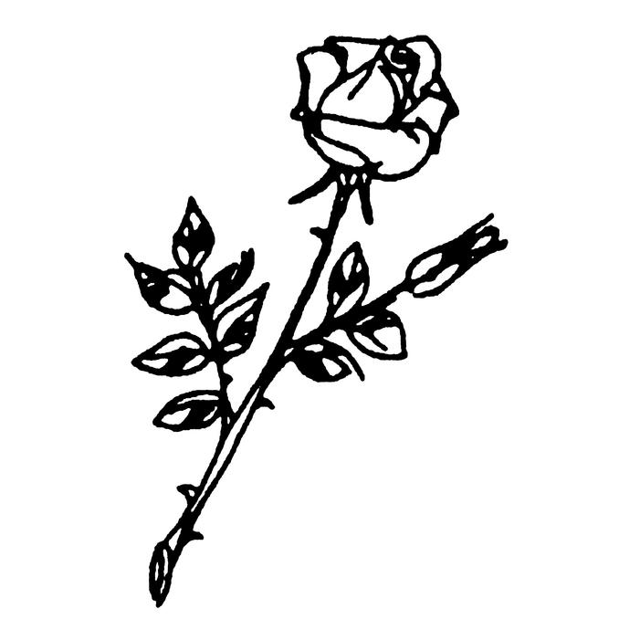 Zimmermann Bestattungen GmbH