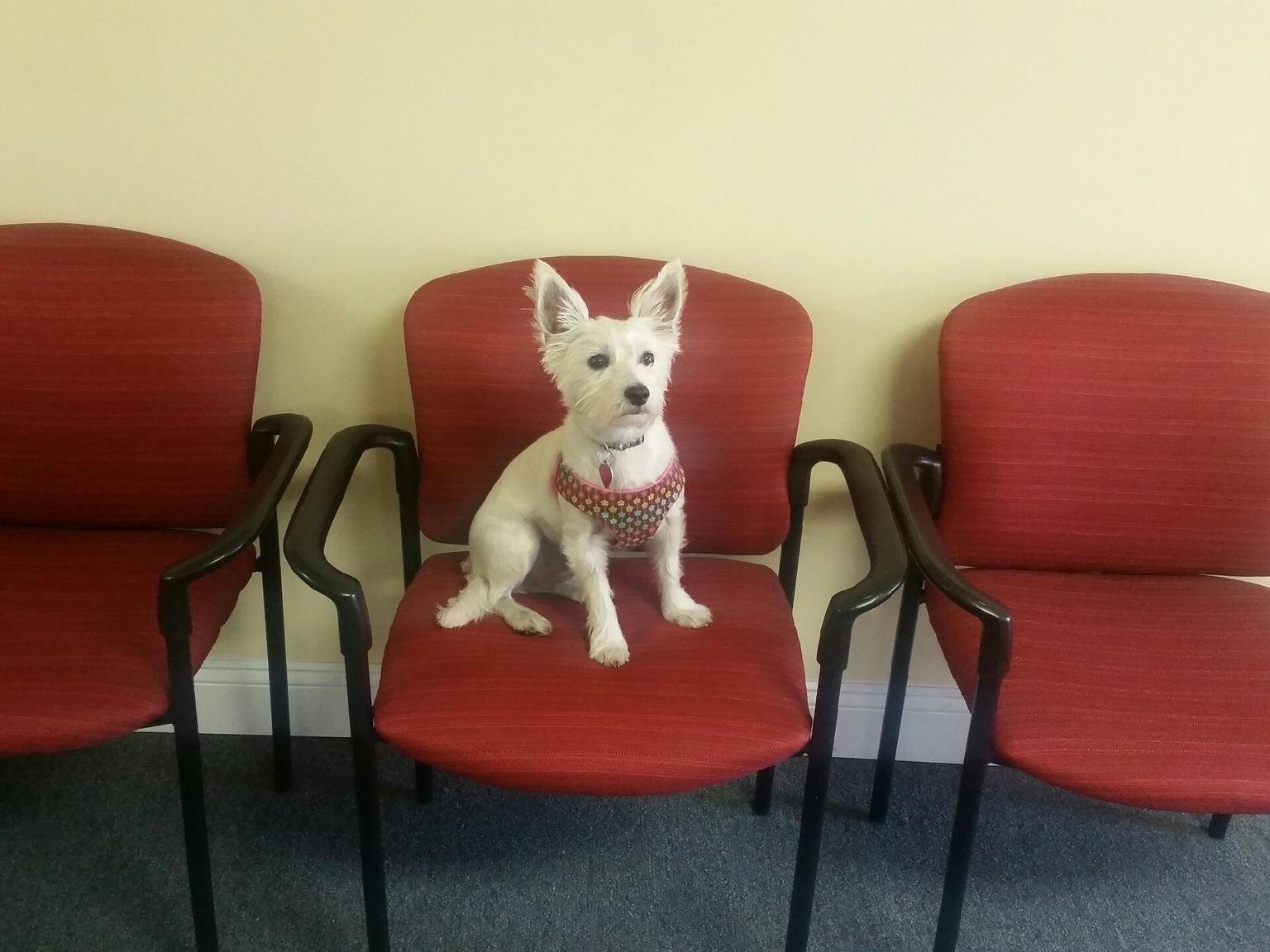 Bill Ball - State Farm Insurance Agent