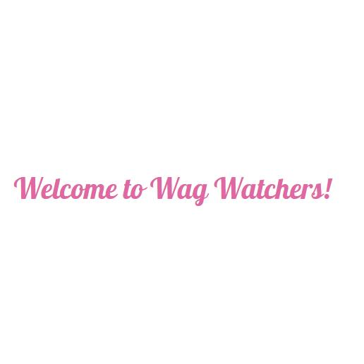 Wag Watchers DayCare & Spa