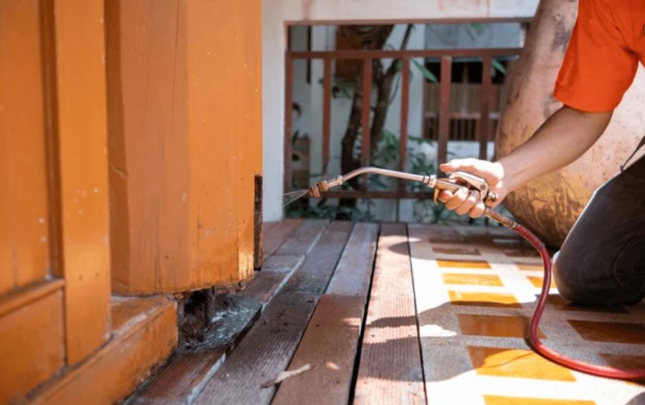 Bug Boss Termite and Pest Control