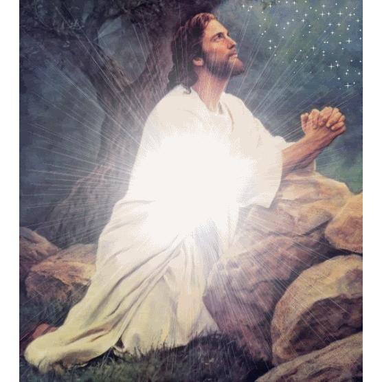 Jungreithmaier Irene, Heilerin mit Gott