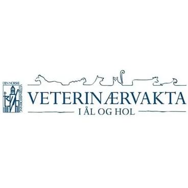 Veterinærvakta I Ål og Hol AS