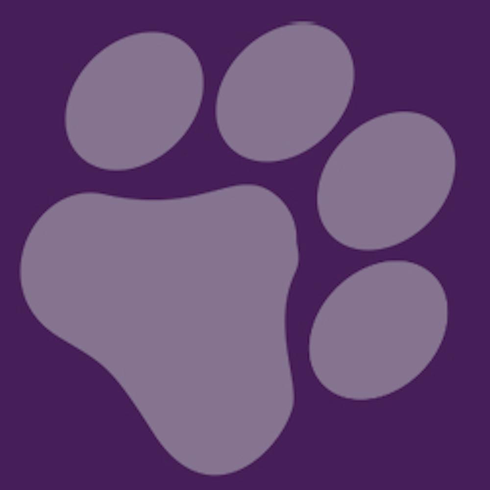 Furever Bookkeeping, Business Accounting & CFO Services