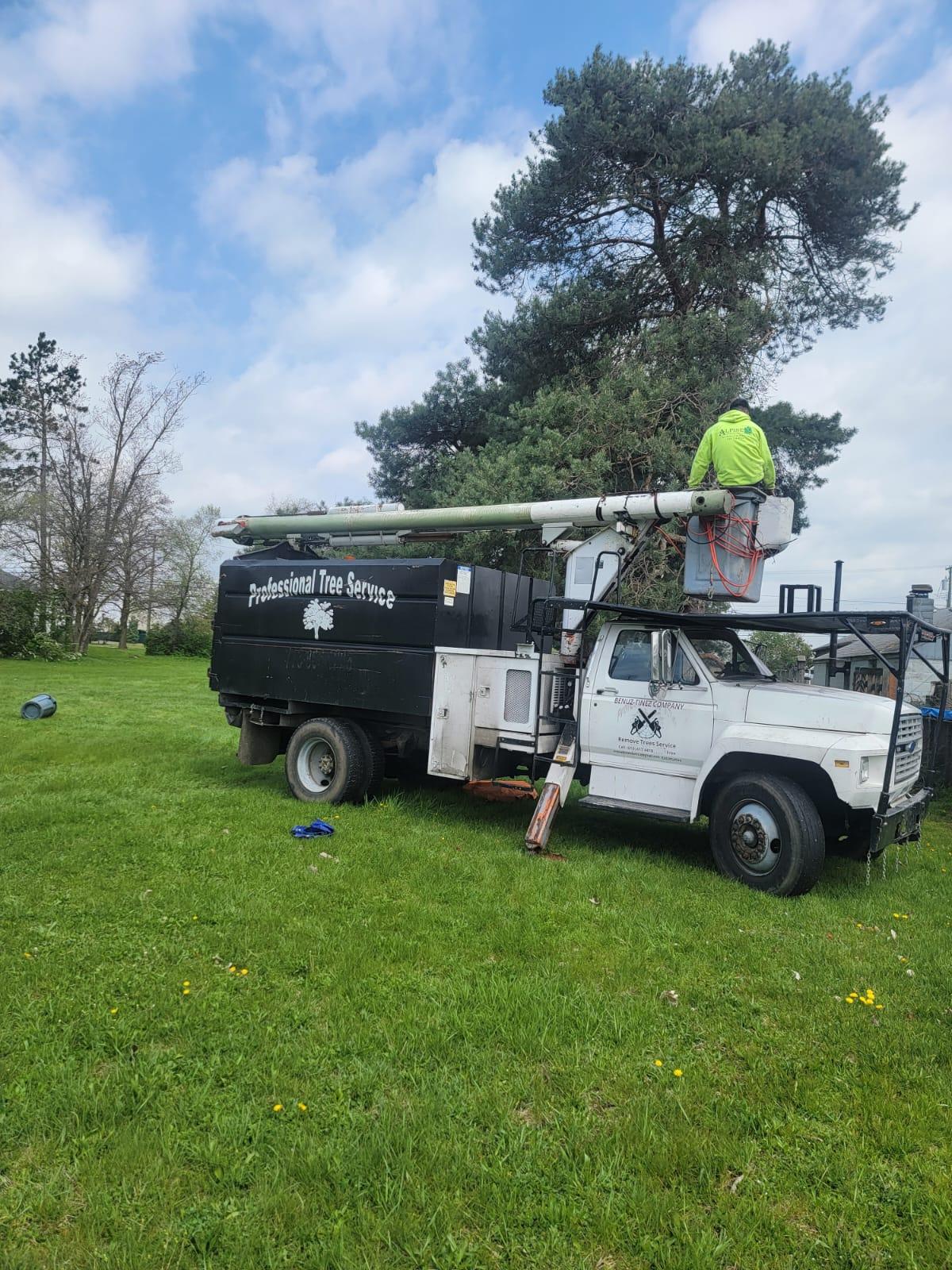 Benuz-Tinez Company LLC