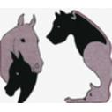 The Animal Hospital Of Gurnee, P.C.