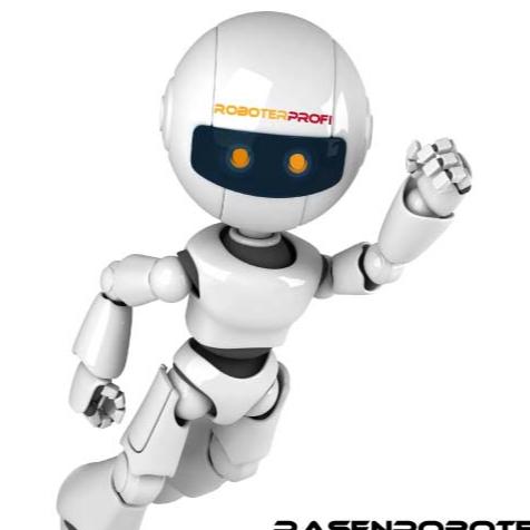 Roboterprofi