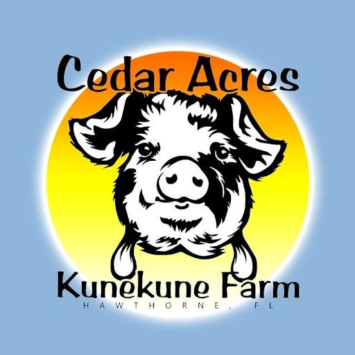 Cedar Acres Kunekune Farm
