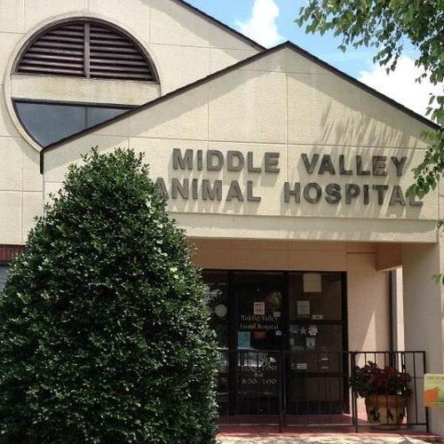 Middle Valley Animal Hospital