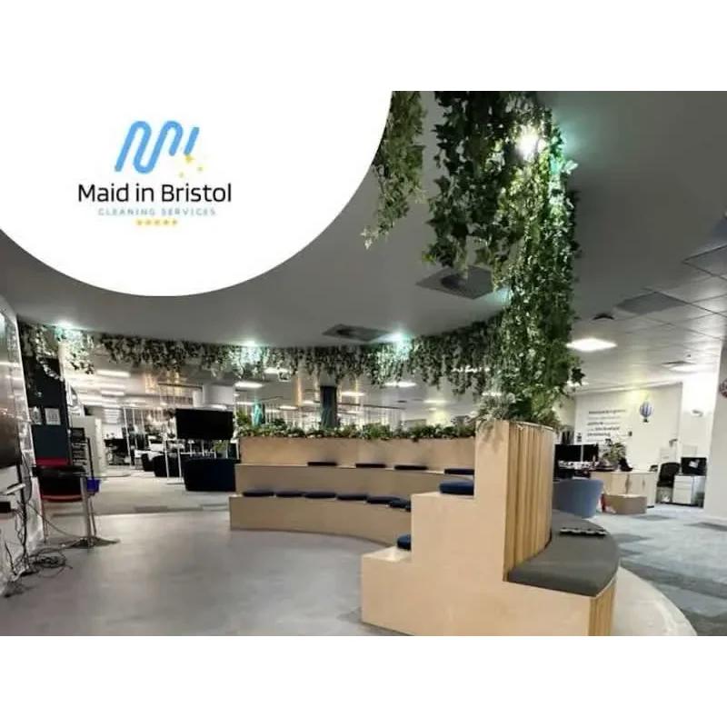 Maid in Bristol Cleaning Service Ltd