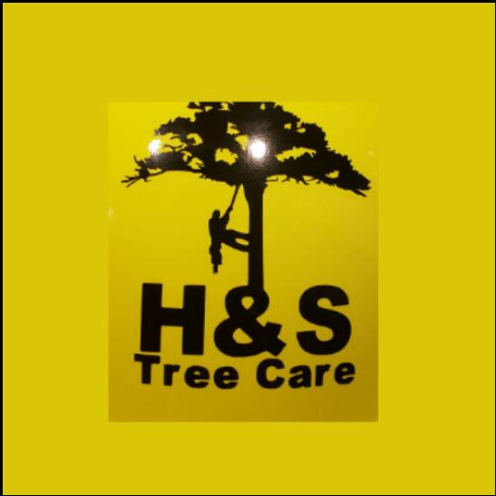 H & S Tree Care