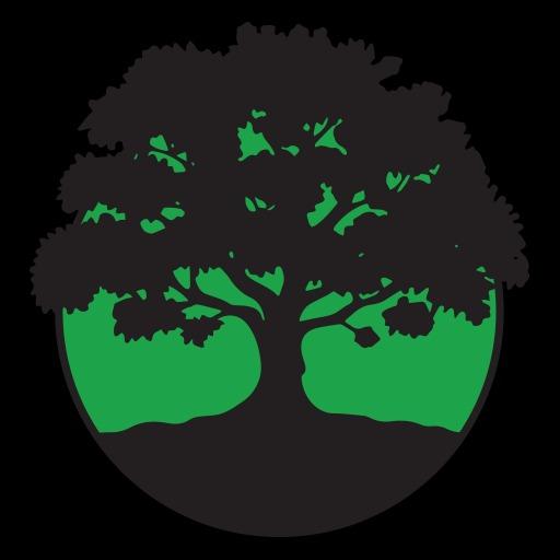 Specialty Tree & Bucket Service