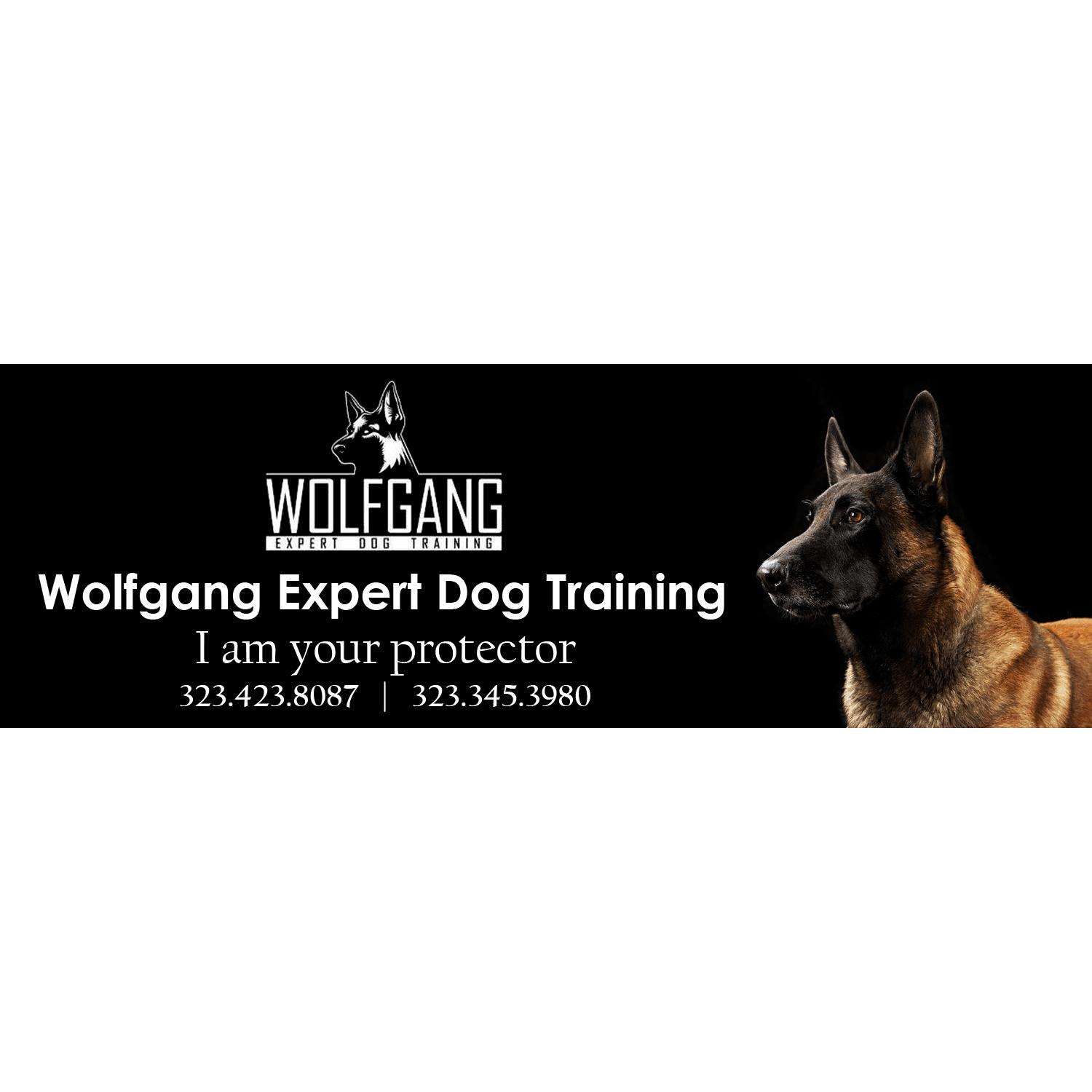 Wolfgang Expert Dog Training