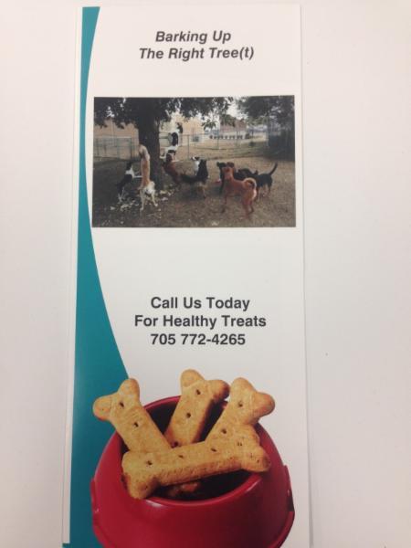 Barking Up The Right Tree(t)