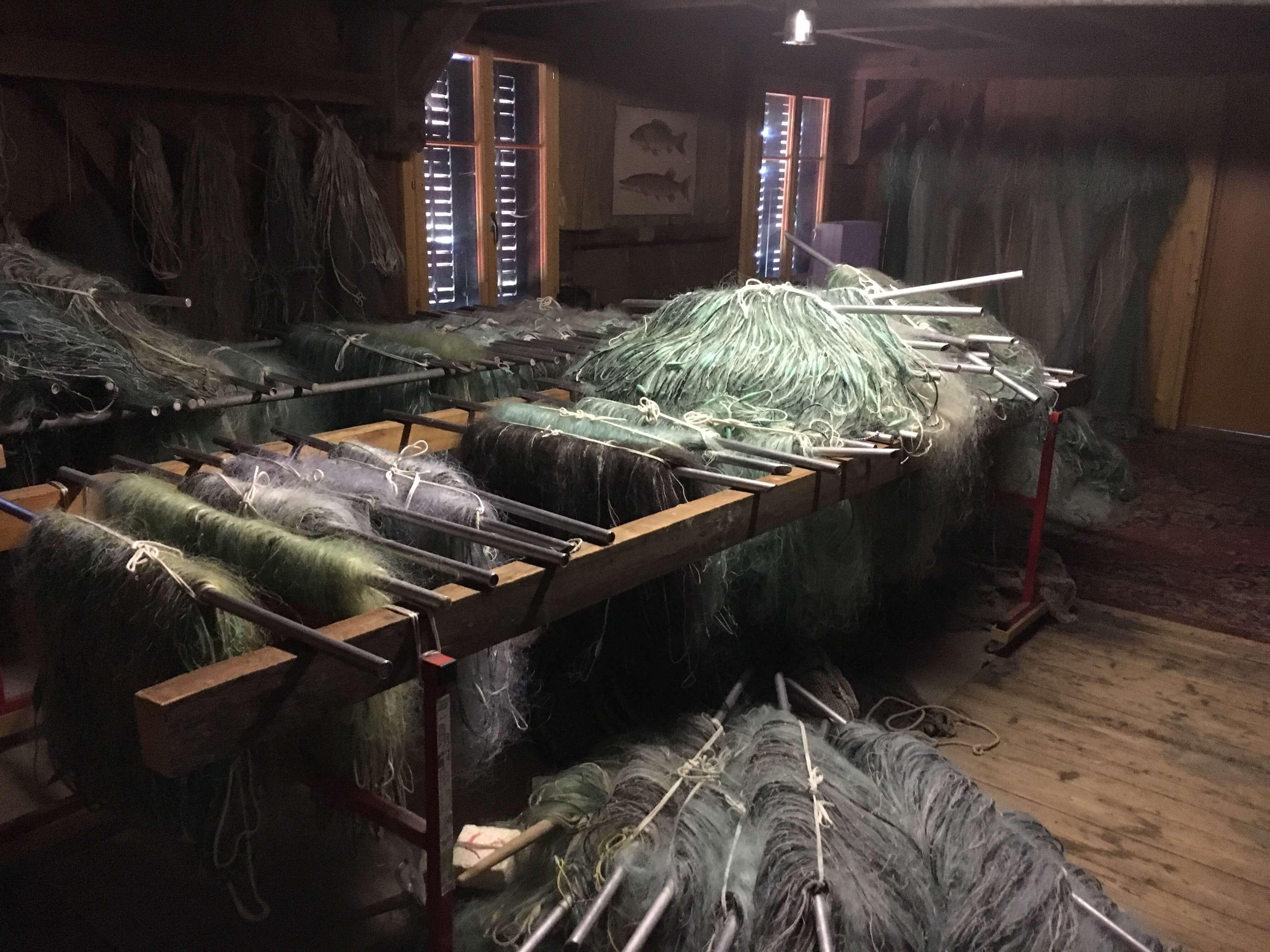 Fischerei Zollinger Greifensee