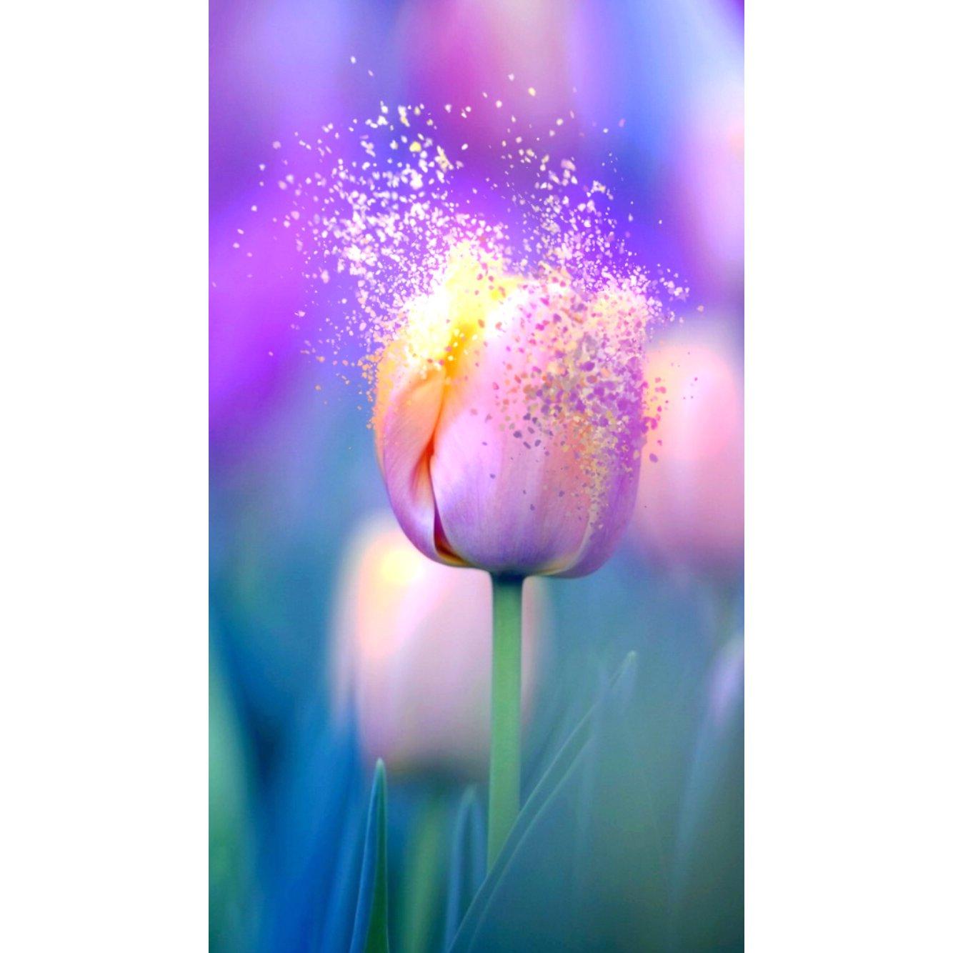 Två Stylister - Nelly