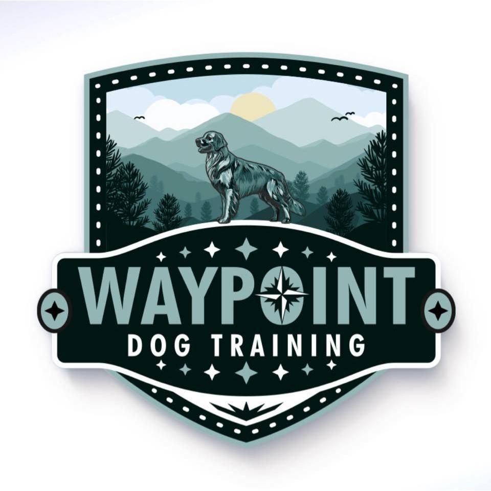 Waypoint Dog Training