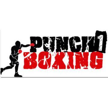 Punch 1 Boxing