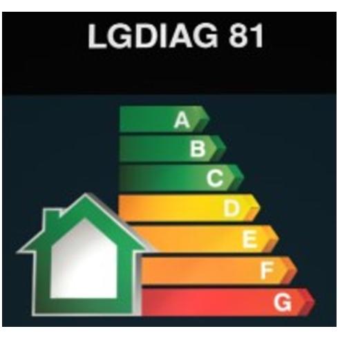 LGDIAG81