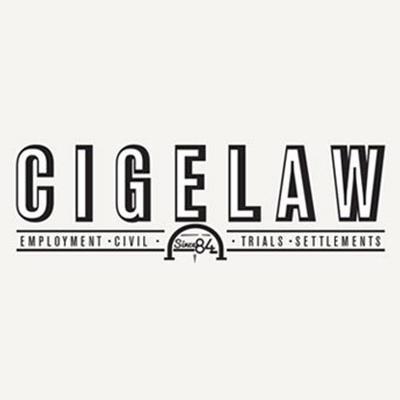 Law Offices Brian M Cige