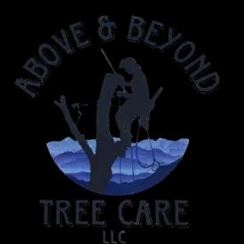Above and Beyond Tree Care