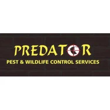 Predator