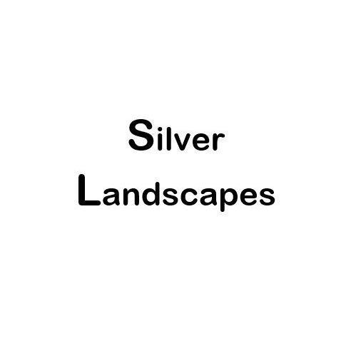 Silver Landscapes