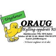 Oraug Kylling-Oppdrett AS