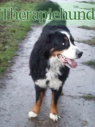 Praxis für Ergotherapie Heike Böttger