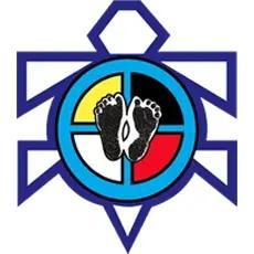 Spirit Lake Early Childhood Tracking