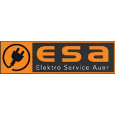 Elektro Service Auer GmbH & Co. KG
