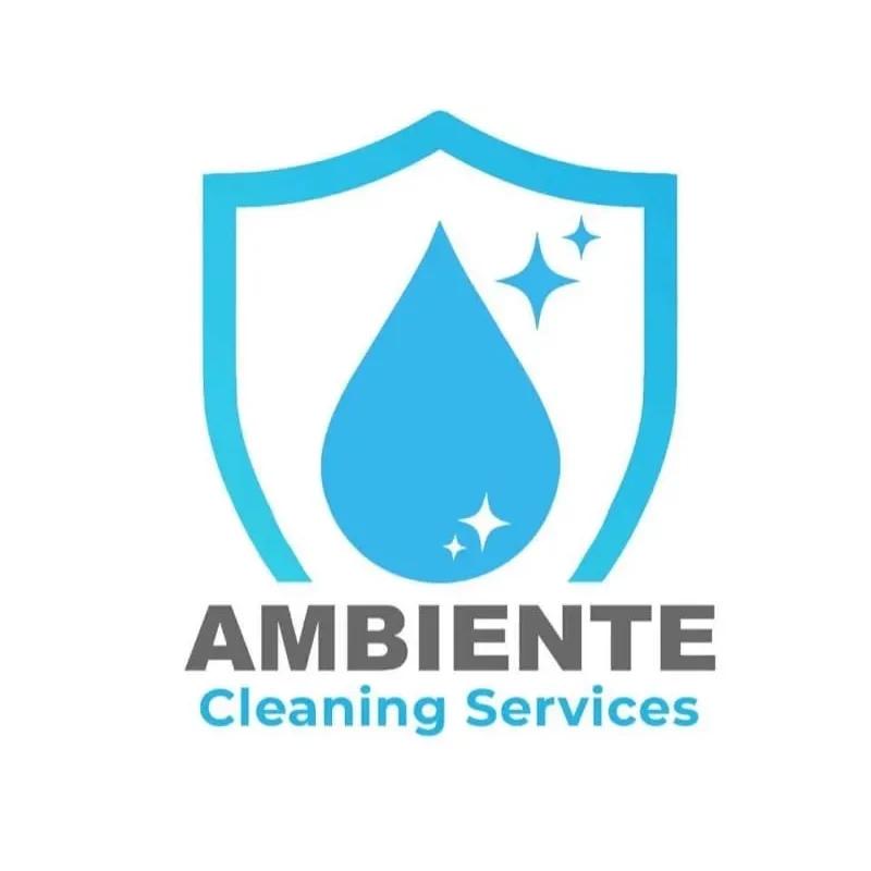 Ambiente FM Ltd