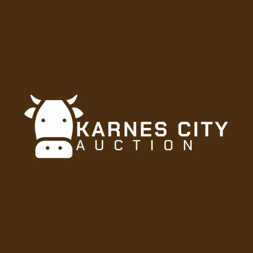 Karnes City Auction