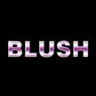Blush Cleaning Service LLC