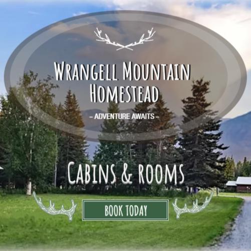 Wrangell Mountain Homestead