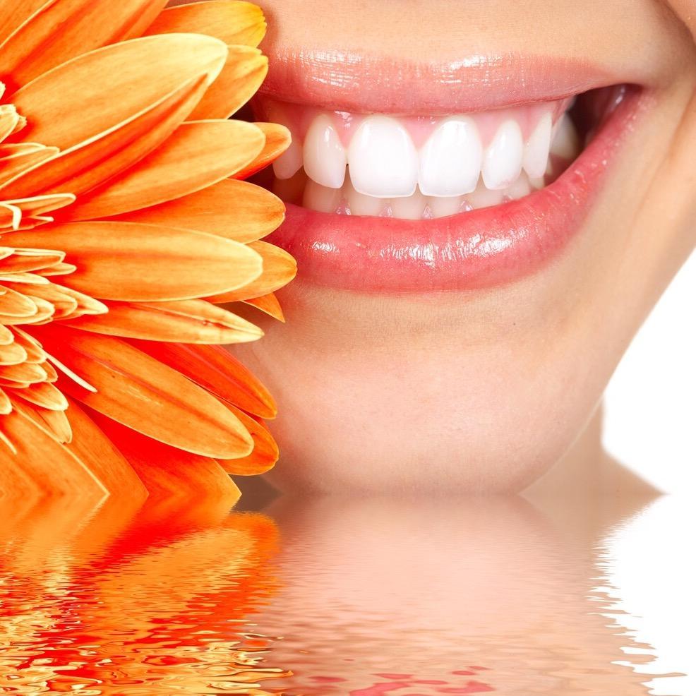 Zahnarztpraxis DDR. Vesna Stephan