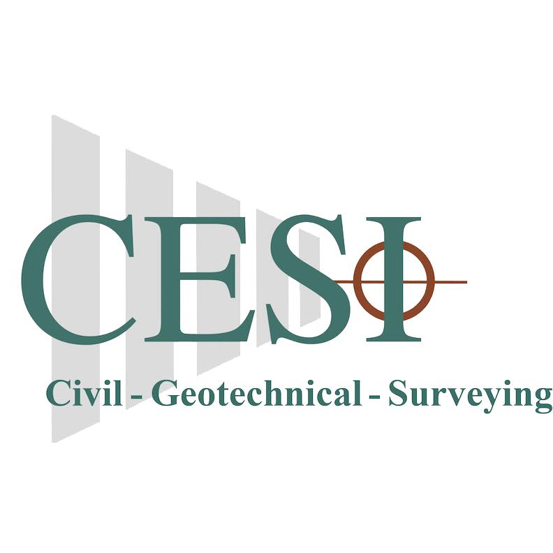 CESI Civil-Geotechnical-Surveying