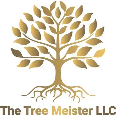 The Tree Meister