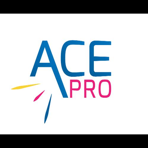 ACE PRO NETTOYAGE
