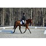 Blue Ribbon Riding Academy