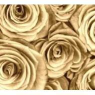 Bognár Dóri kozmetika Pesterzsébet