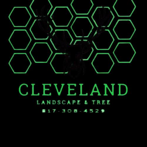 Cleveland Landscape and Tree